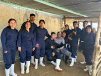 Práctica de identificación de planos anatómicos en ovinos